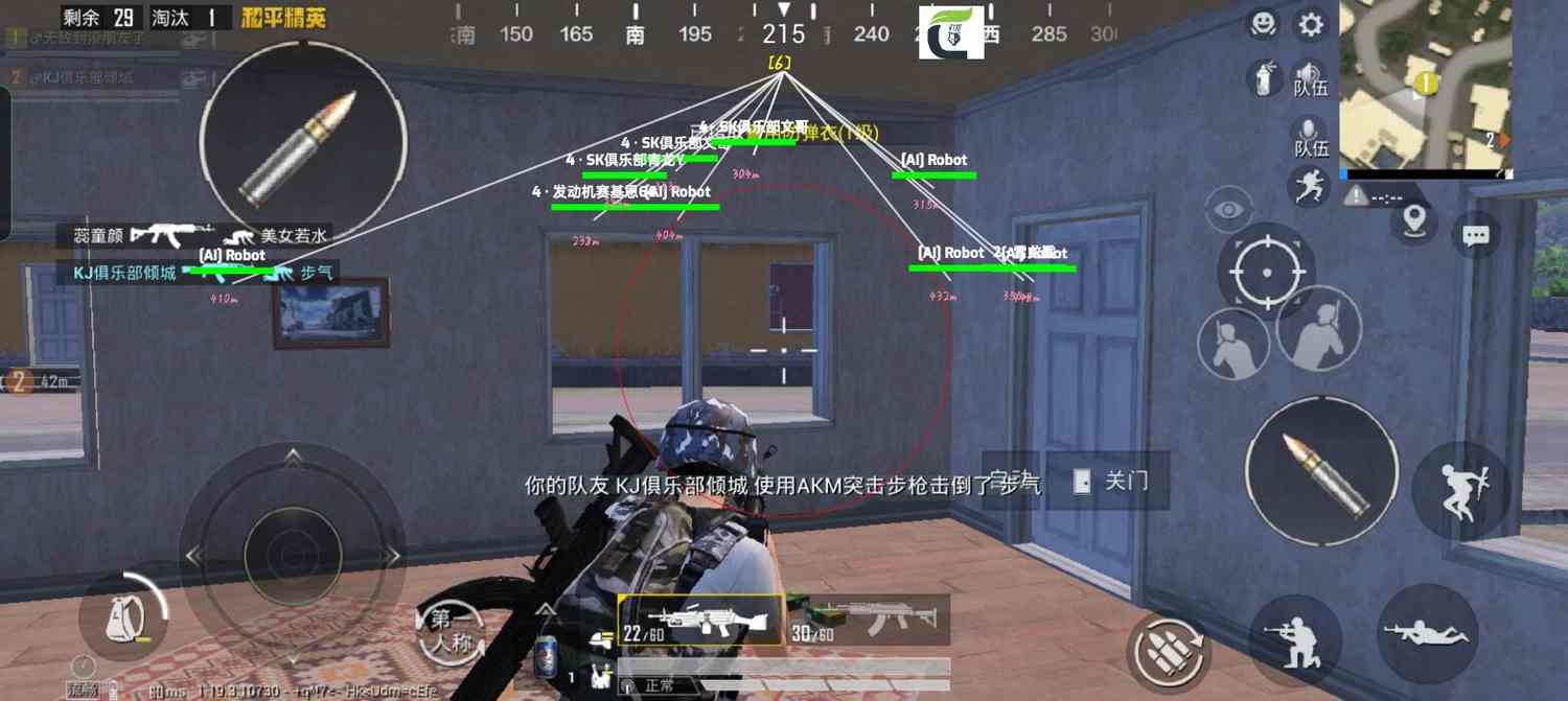 和平精英辅助【神女】